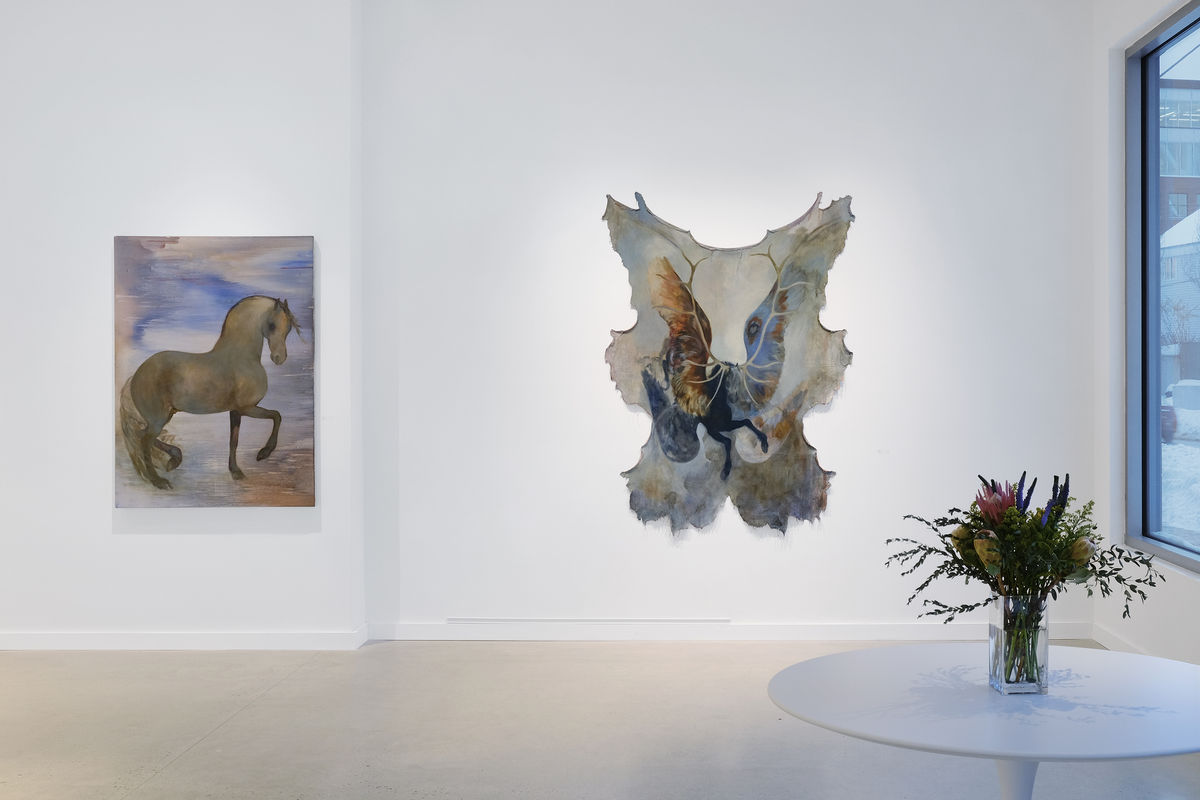 benji grignon: stallion song