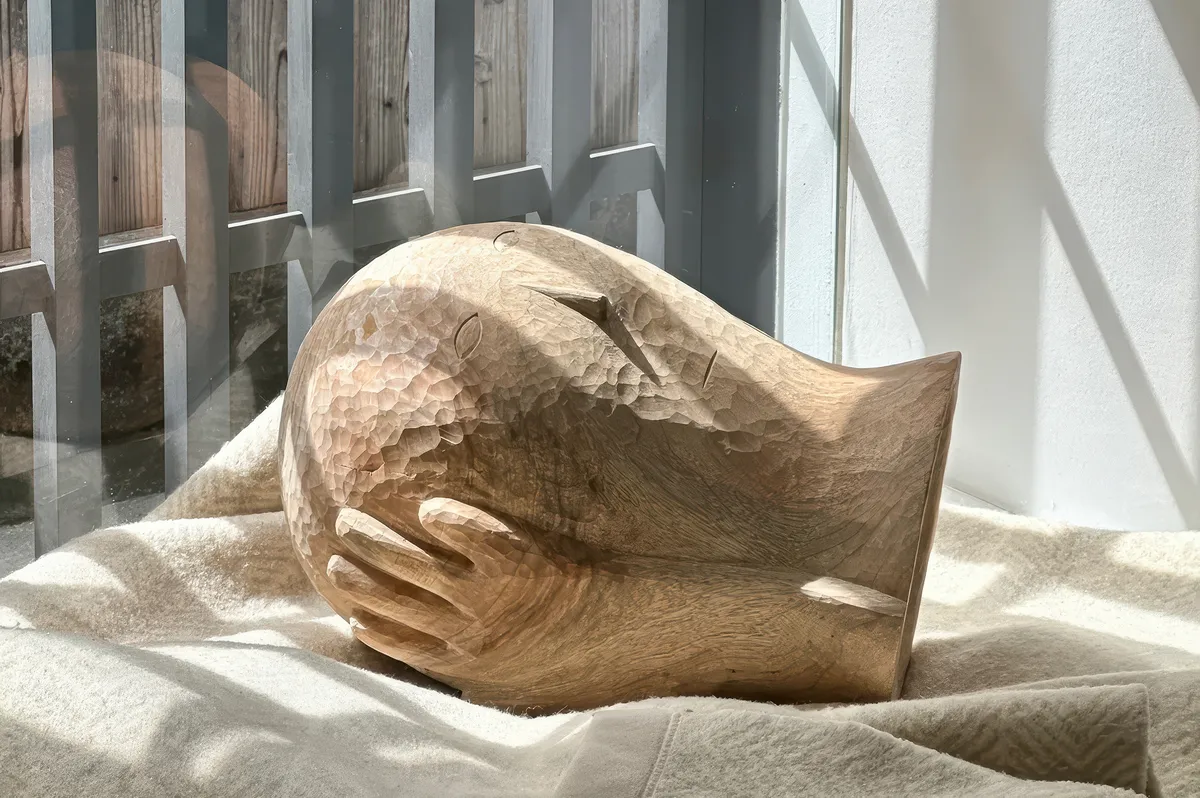 Rodrigo Hernández: Fish