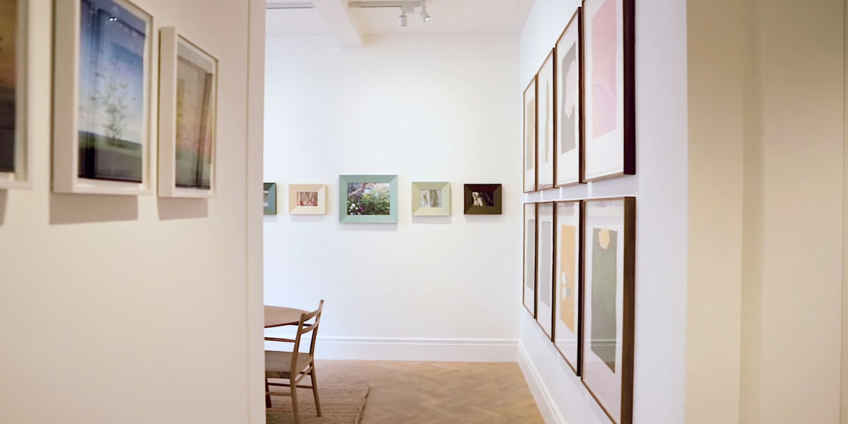 Nature Observed Exhibition video still