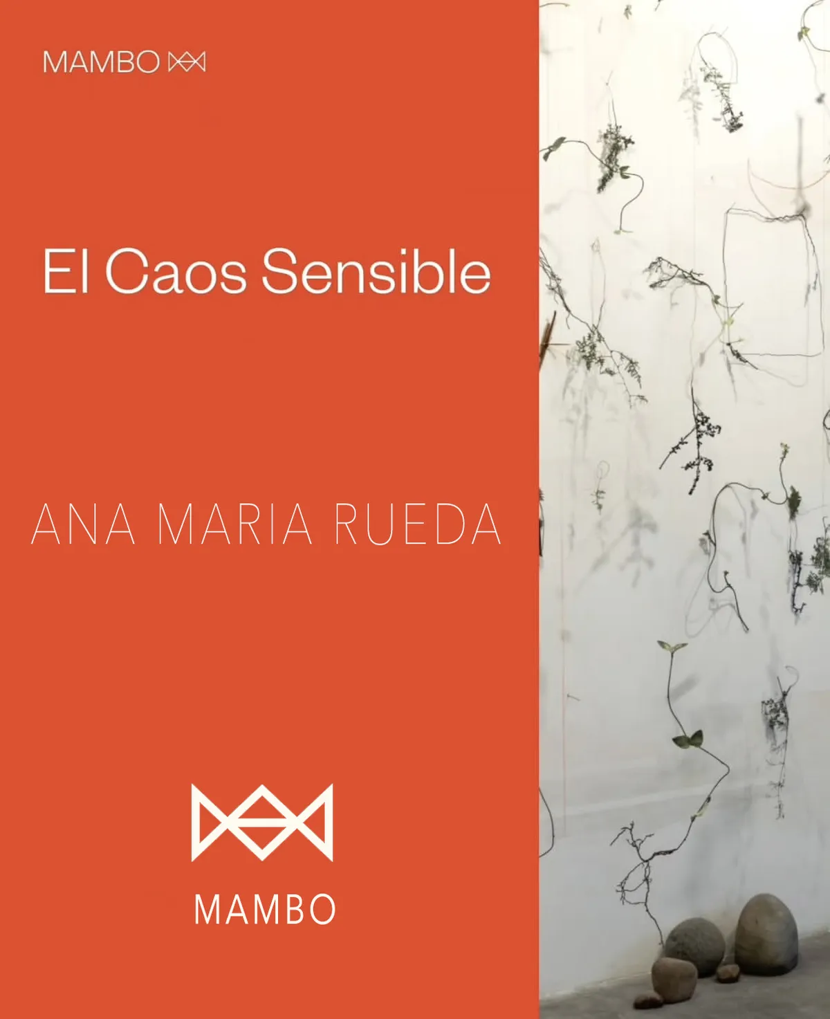 EL CAOS SENSIBLE @ MAMBO ANA MARIA RUEDA. CURATED BY EUGENIO VIOLA