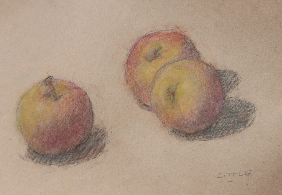 Extended Studies: Drawing