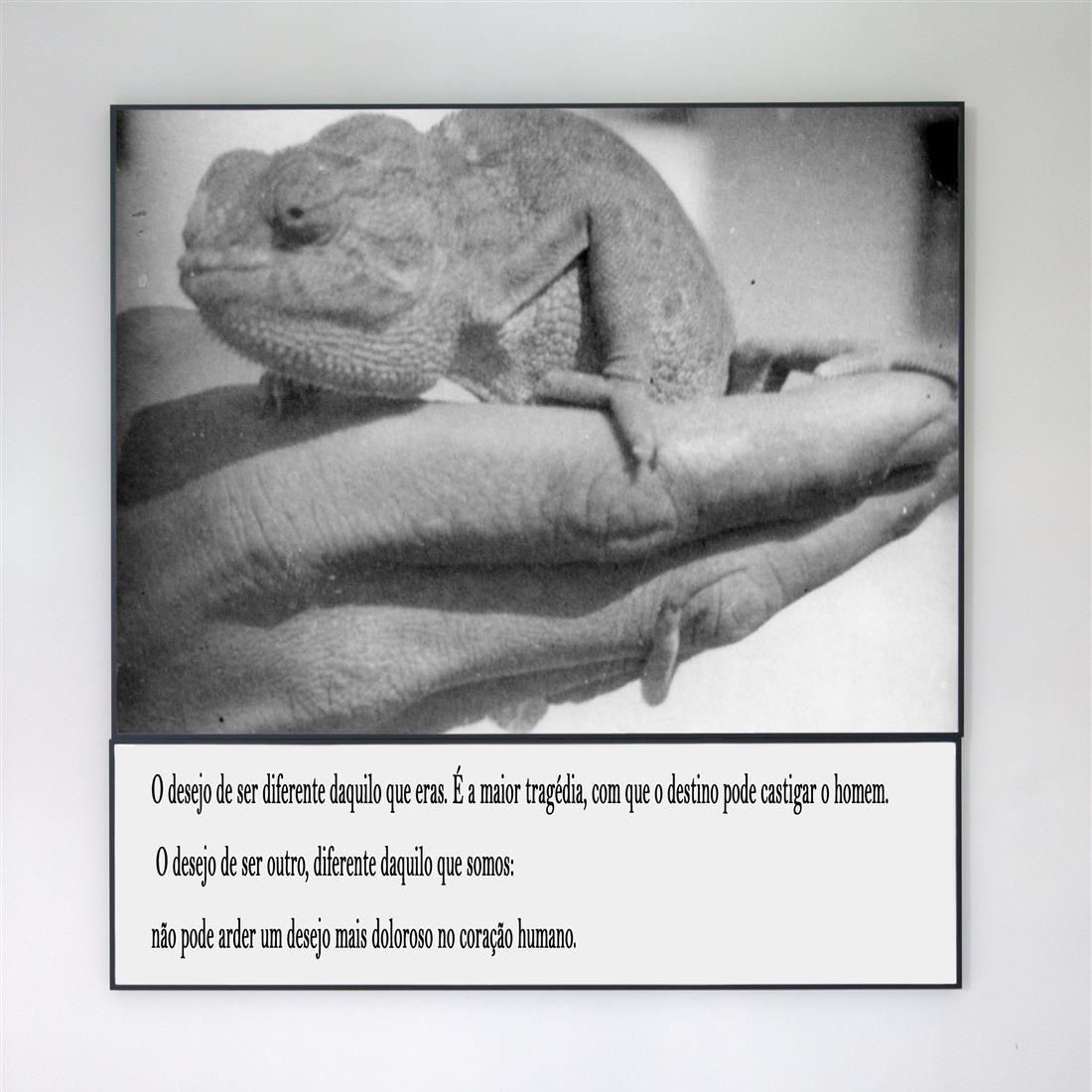 Galeria Francisco Fino - Acting #3, Vasco Araújo