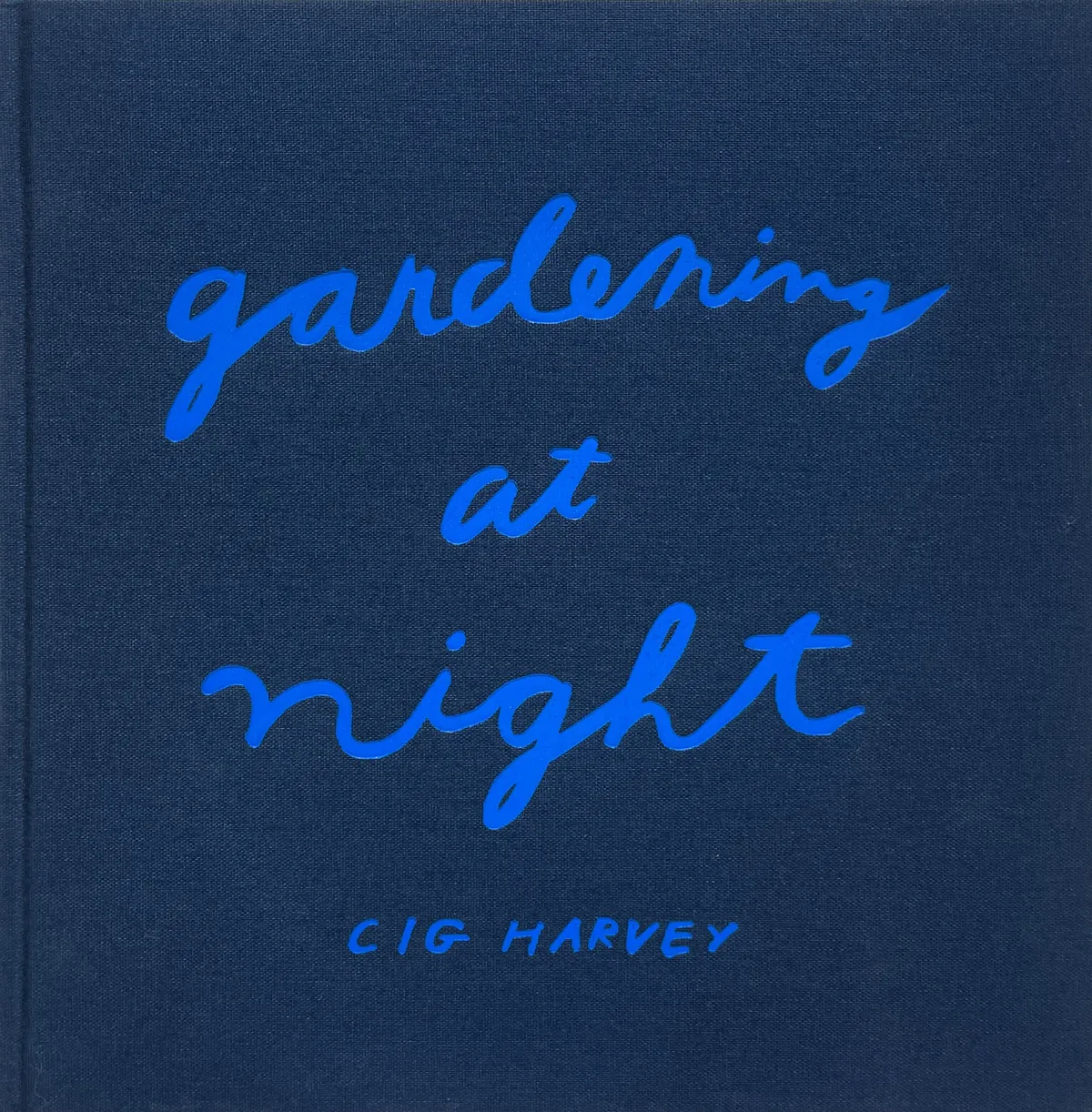 Publication: Gardening at Night - Cig Harvey | Robert Klein Gallery