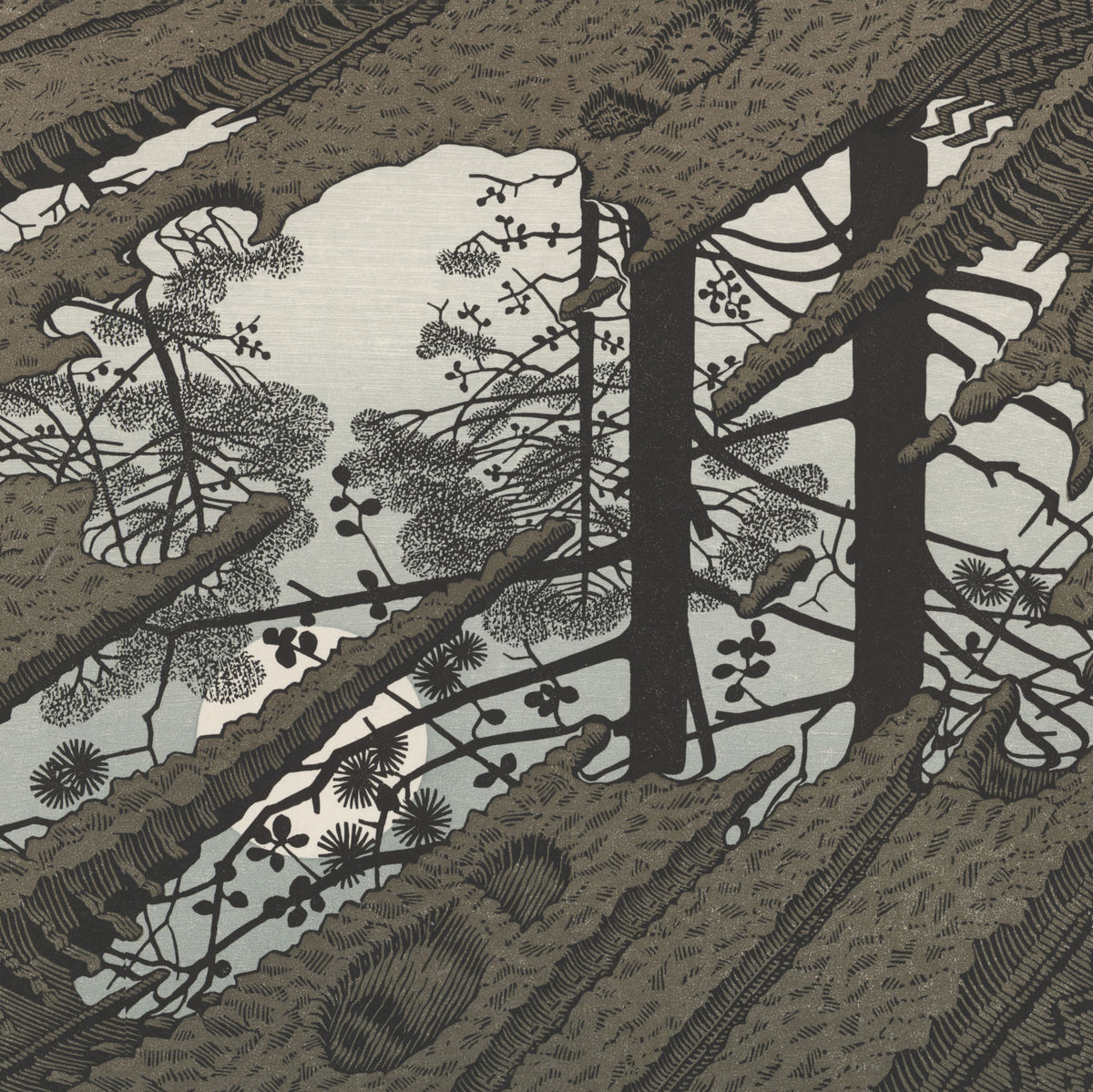 Puddle, 1952
