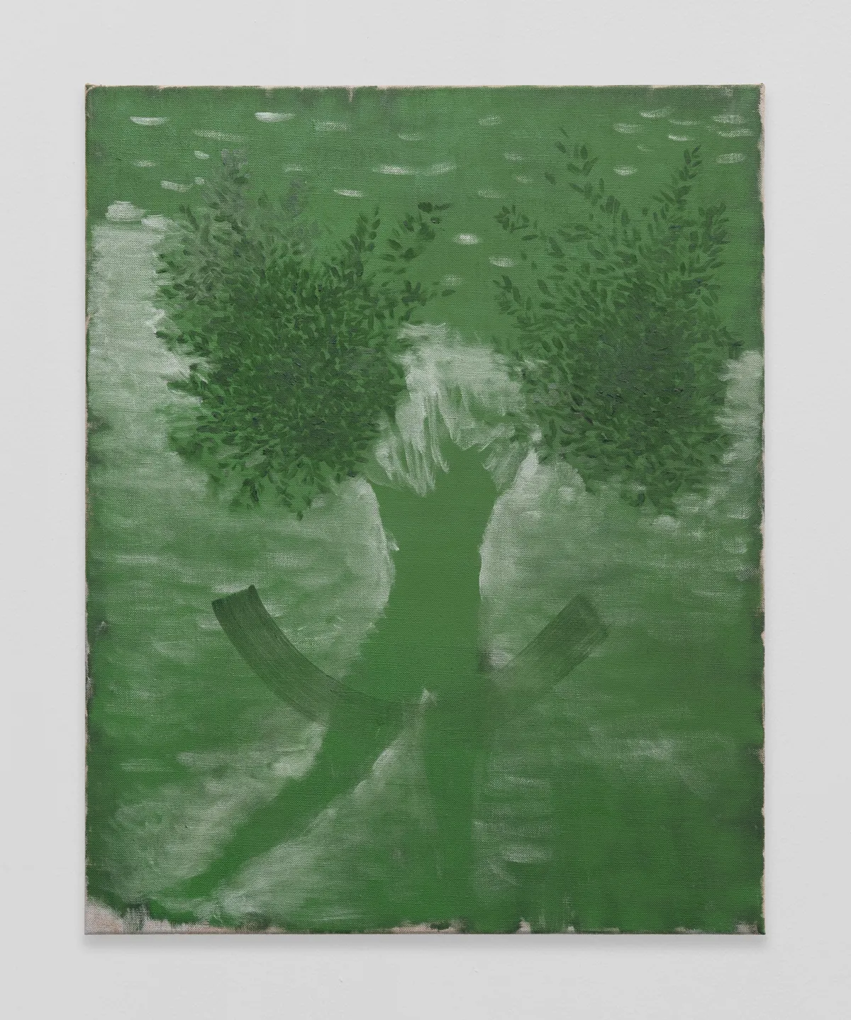 Jeanine Richards Physical Chemistry