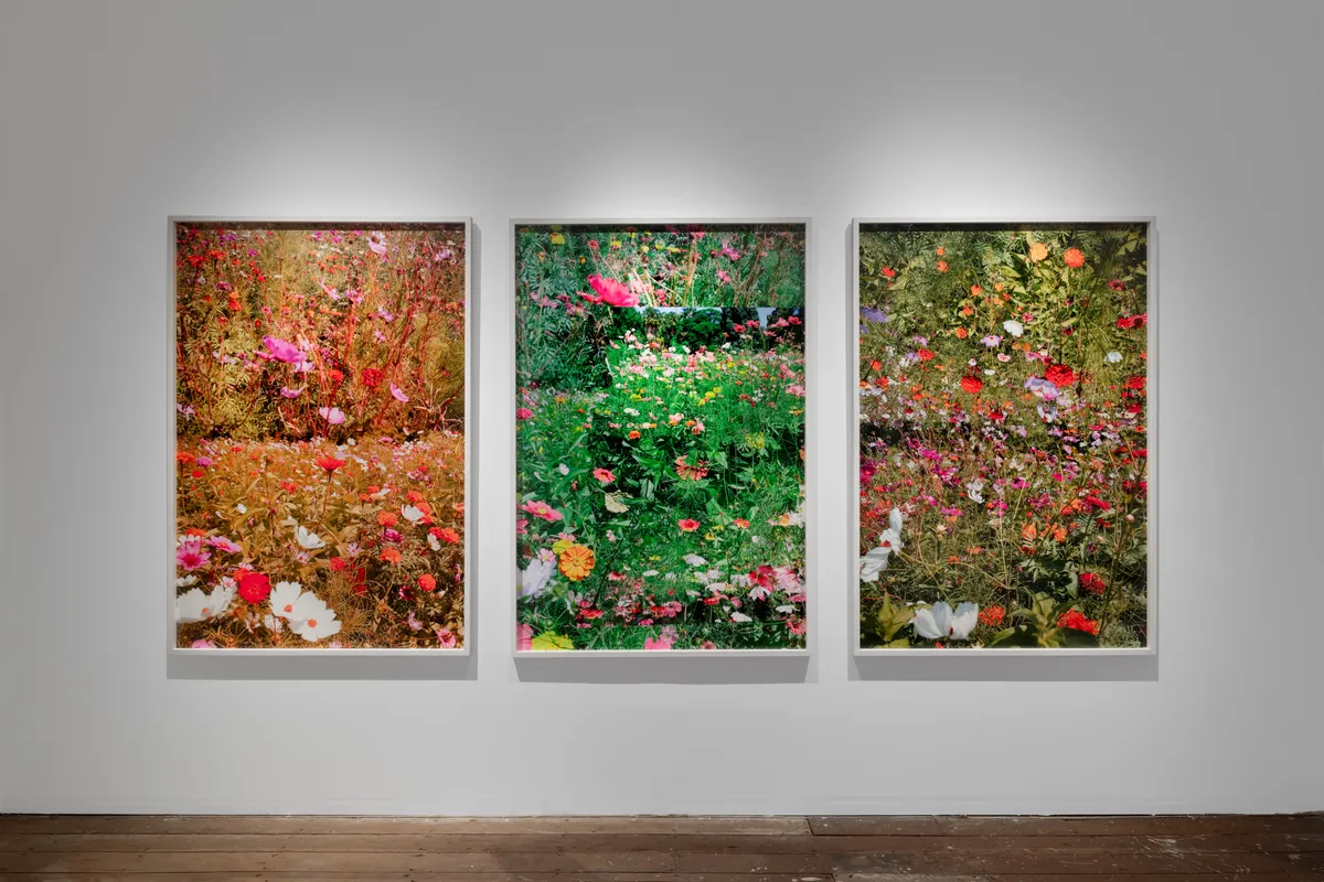 Samuel Hodge Milk, Vodka, Shampoo, and Honey