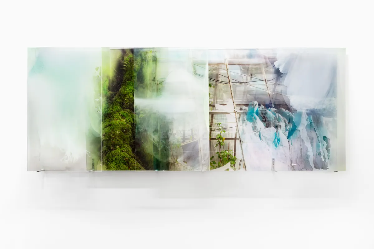 Janet Laurence Once Were Forests