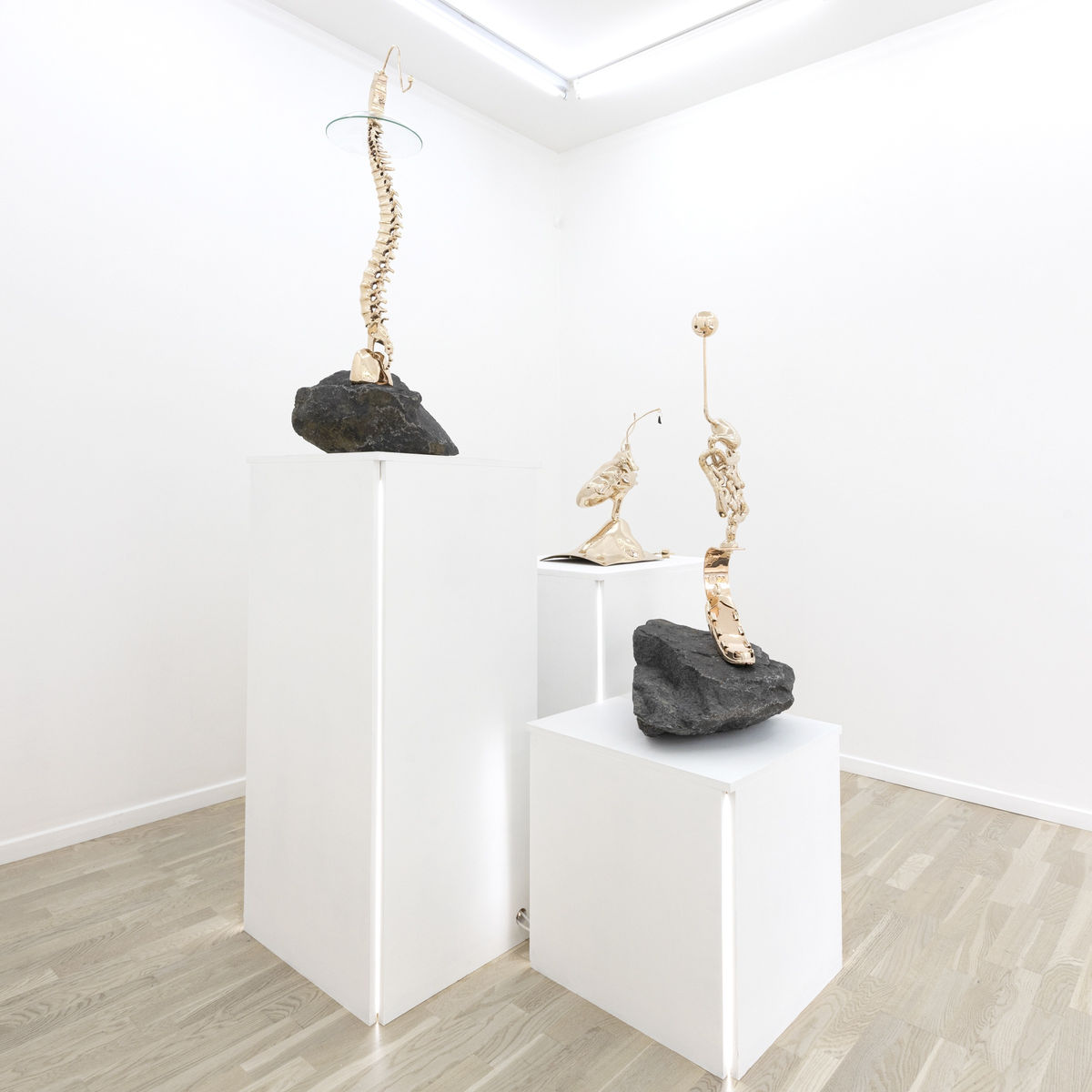 Stine Deja | HEAVY RENDER