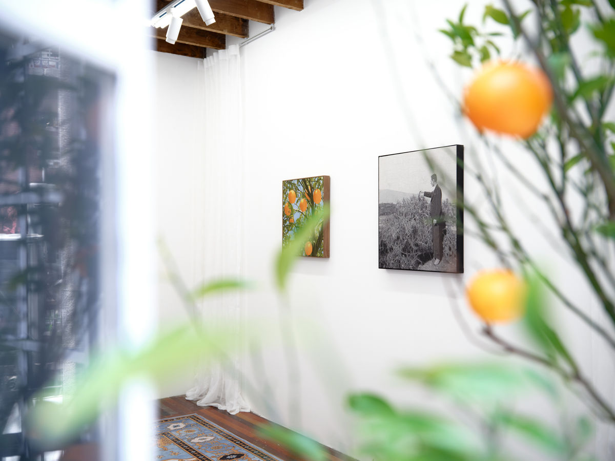 Article | Mustafa Boğa: Stitching the River of Time