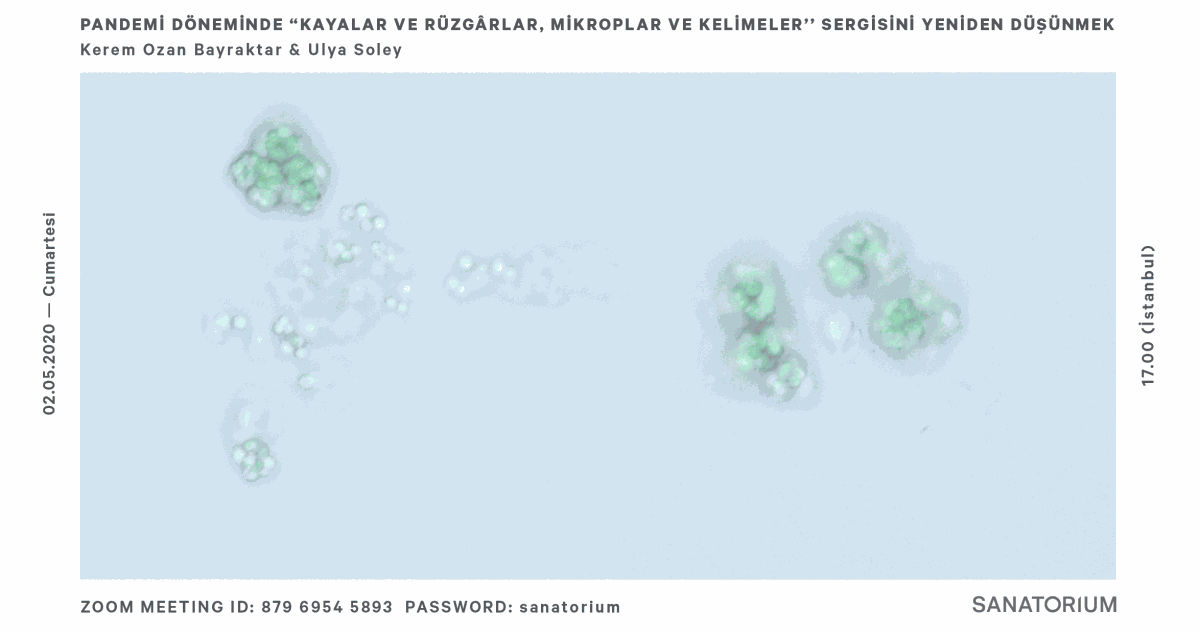 Pandemi Döneminde ''Kayalar ve Rüzgarlar, Mikroplar ve Kelimeler'' Sergisini Yeniden Düşünmek