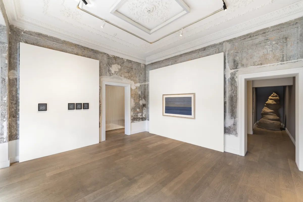 I Don't Know Where It Will Fall Defne Tesal