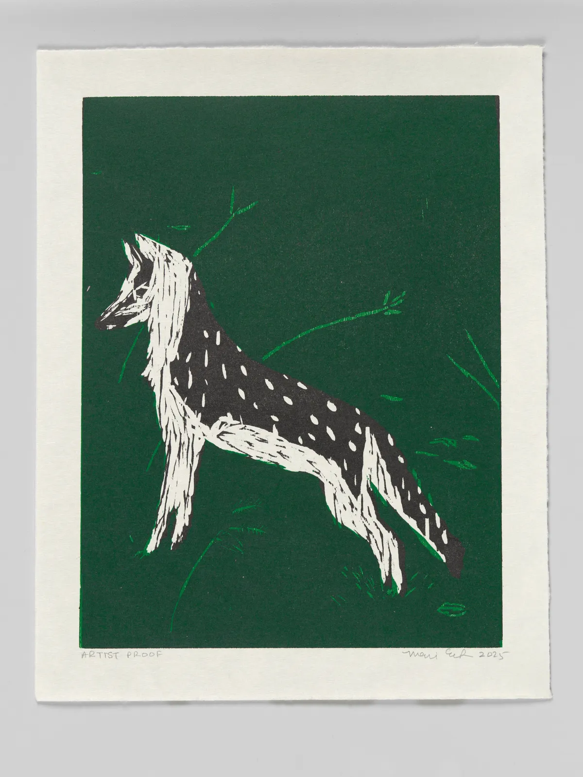 Mari Eastman: The Artist's Proofs Untitled (Gray Fox), 2025