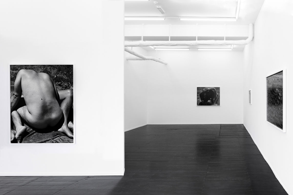 MARK ARMIJO MCKNIGHT