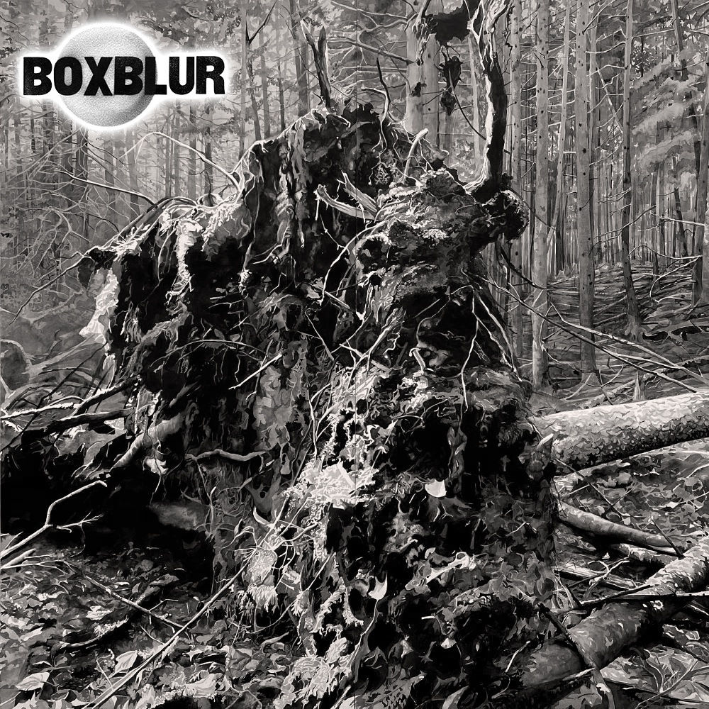 Remember the Forest: A Program of Music Curated by Shinji Eshima