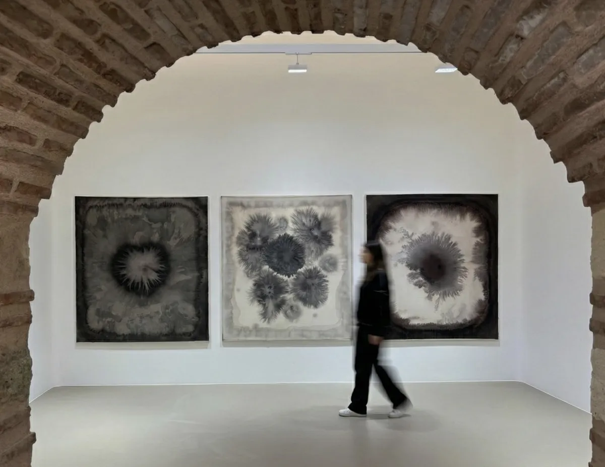 Metaphors of Transformation Ahmet Çerkez