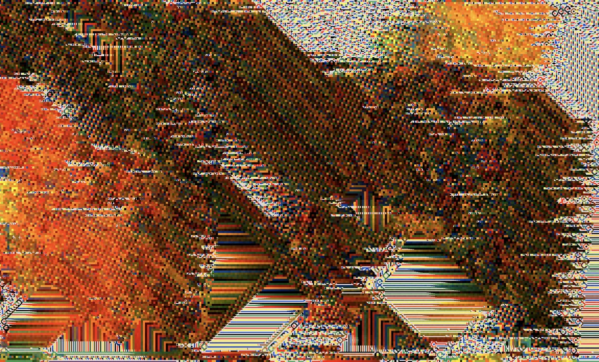 Senescenence Harm van den Dorpel | with Interface Gallery