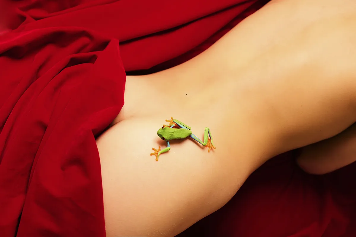 FROG & RED VELVET, 2025
