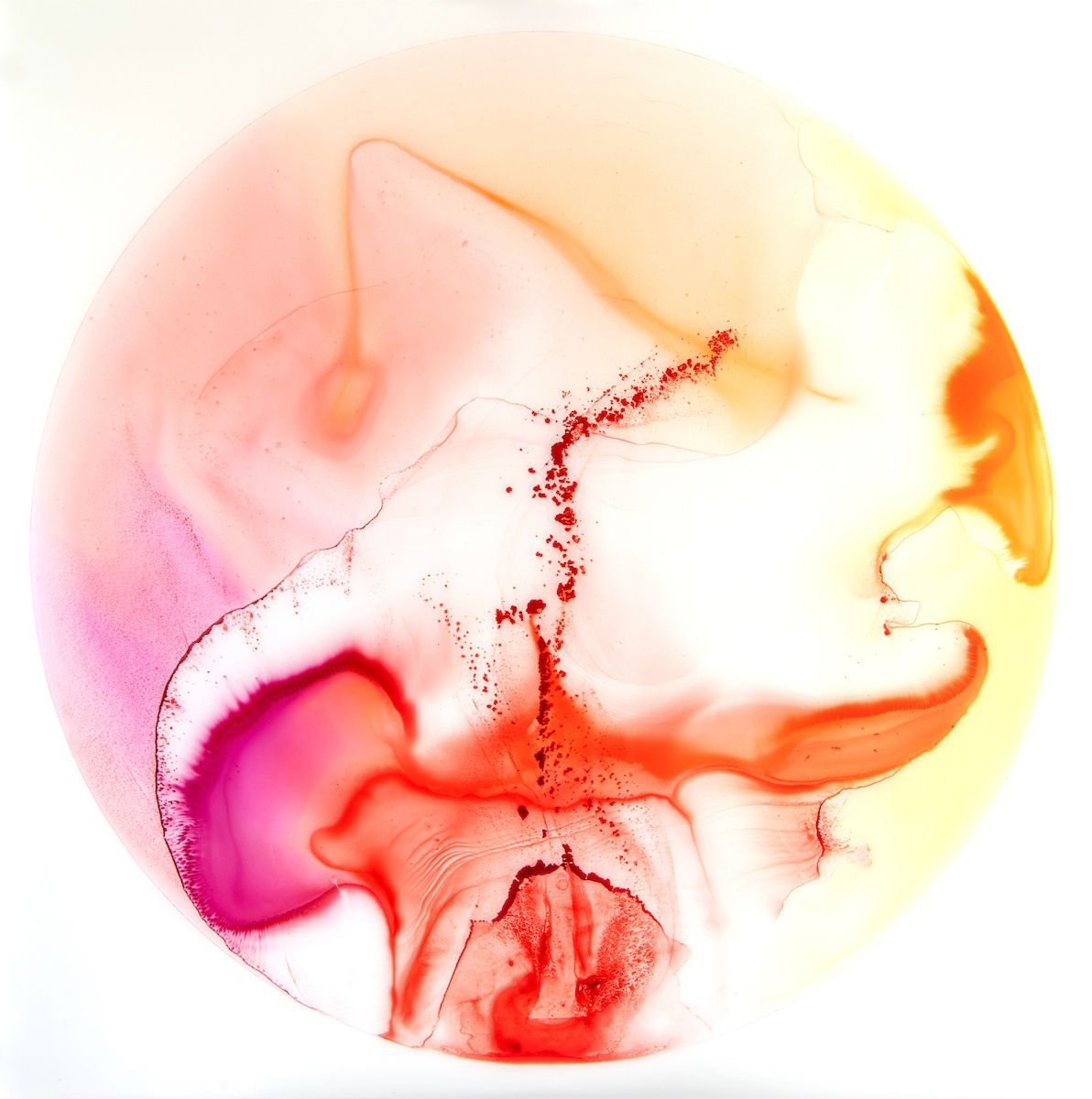 Material Matters- Rethinking the DNA of Contemporary Art