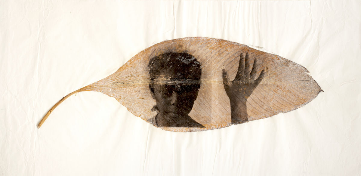 Selections from The Petrucci Family Foundation Collection of African American Art