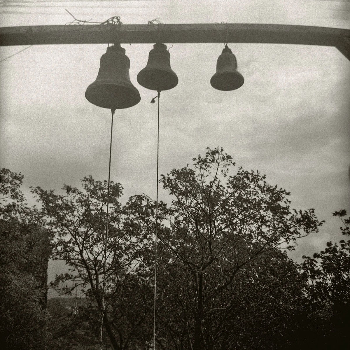 Photographic Workshop