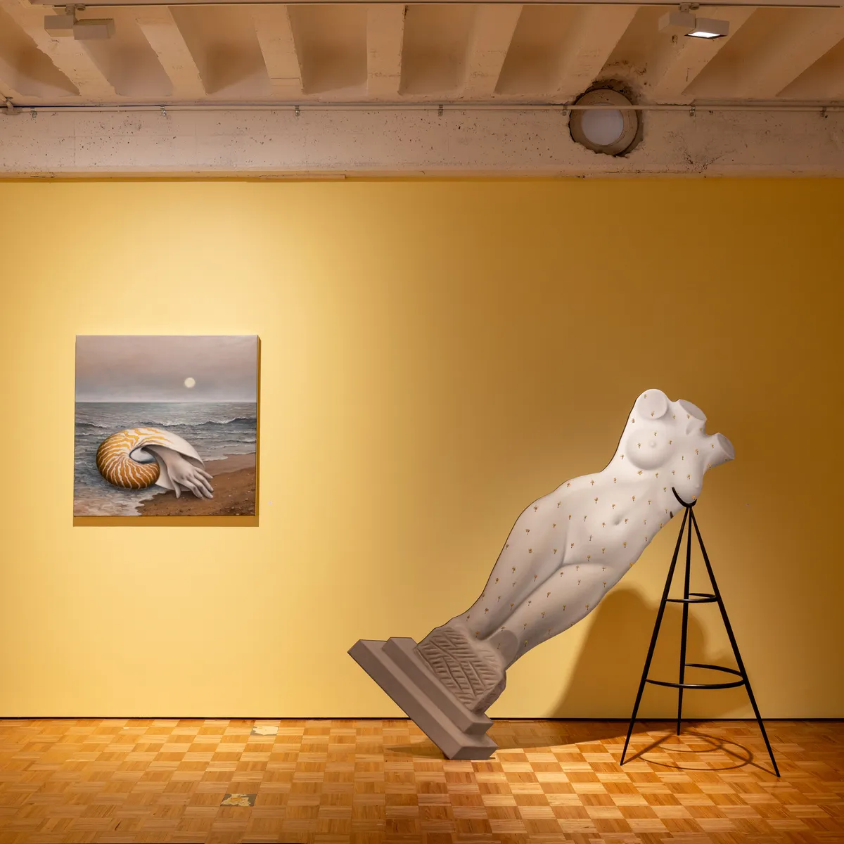 Amber Koroluk-Stephenson