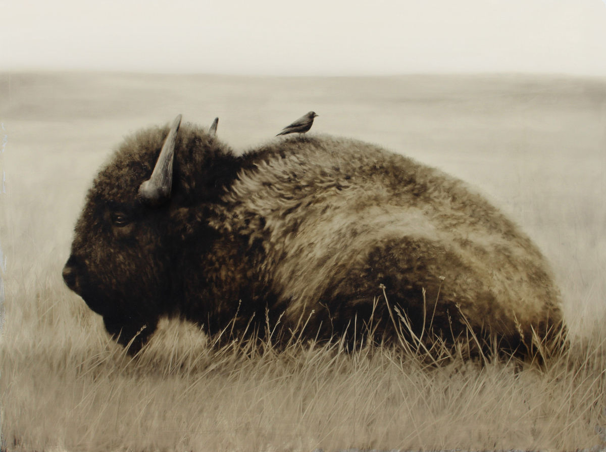 Summer 2025 at Courtney Collins Fine Art, Anke Schofield, Dennis Bredow, Kenneth Peloke, Kevin Red Star & Ben Steele