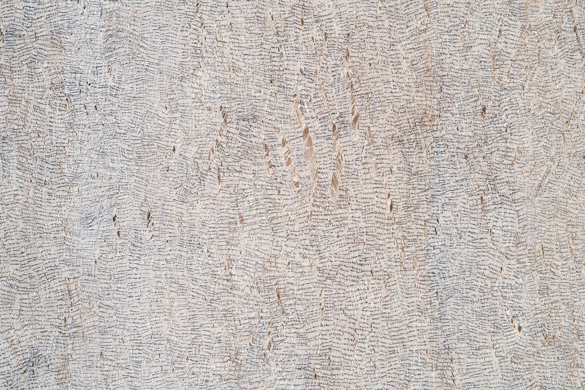 Bernardo Ortiz Um tumulto de titubeios