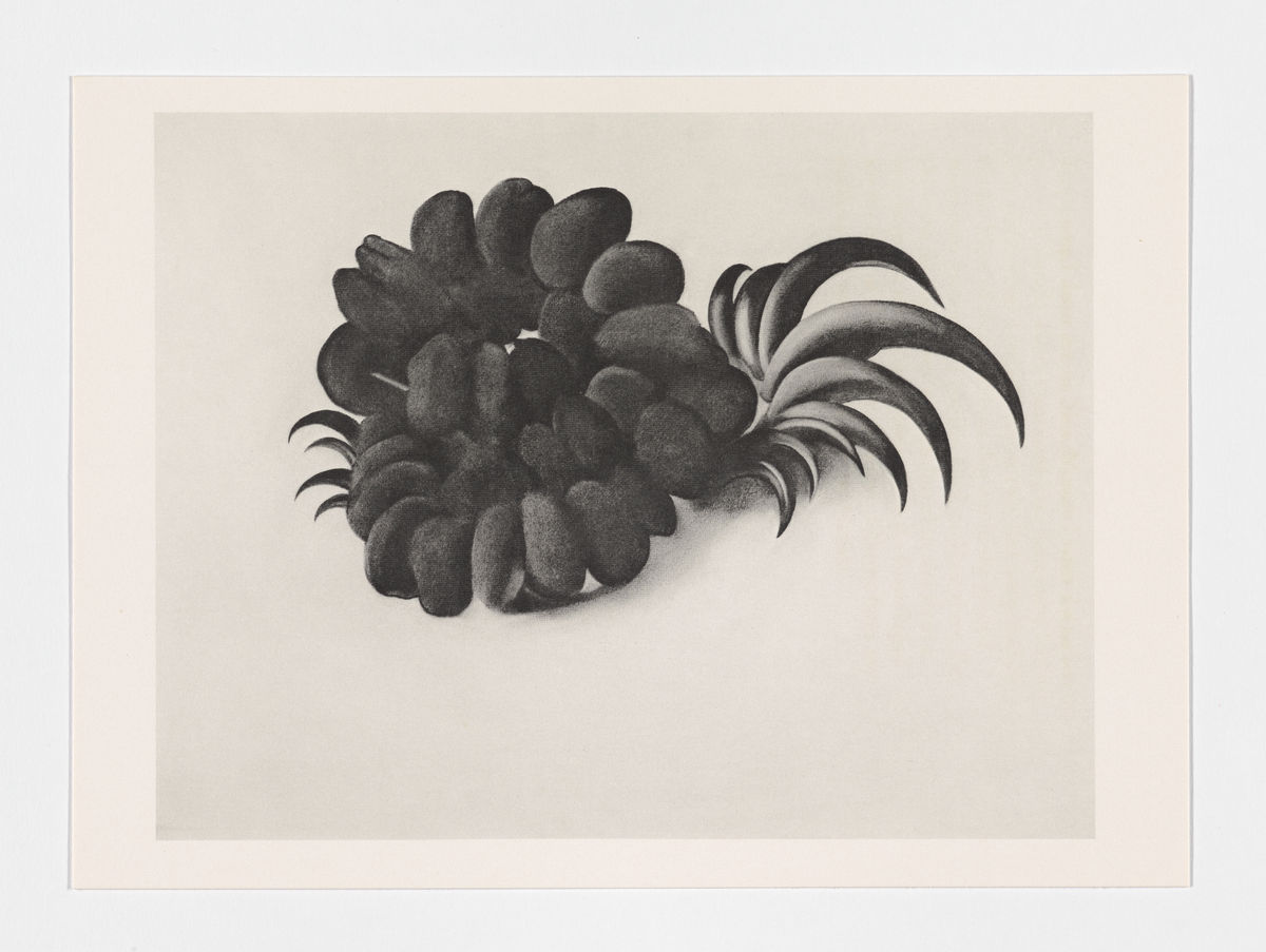 Georgia O’Keeffe: Memories of Drawings