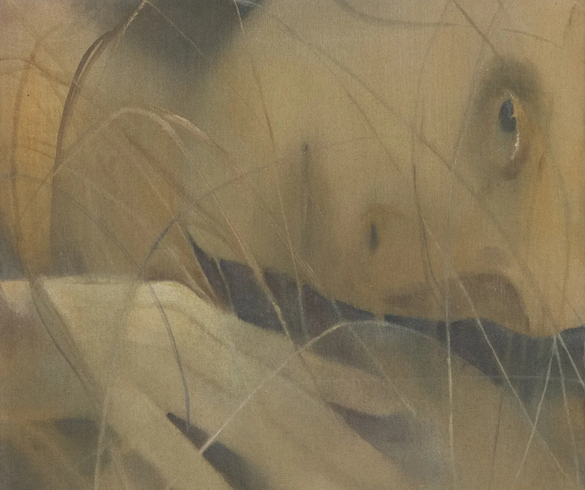 Anna Ruth Close Quarters