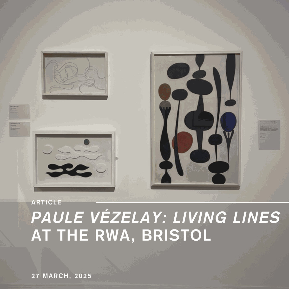 Paule Vézelay: Living Lines at the Royal West of England Academy, Bristol