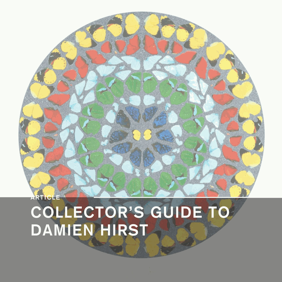 Collector's Guide to Damien Hirst