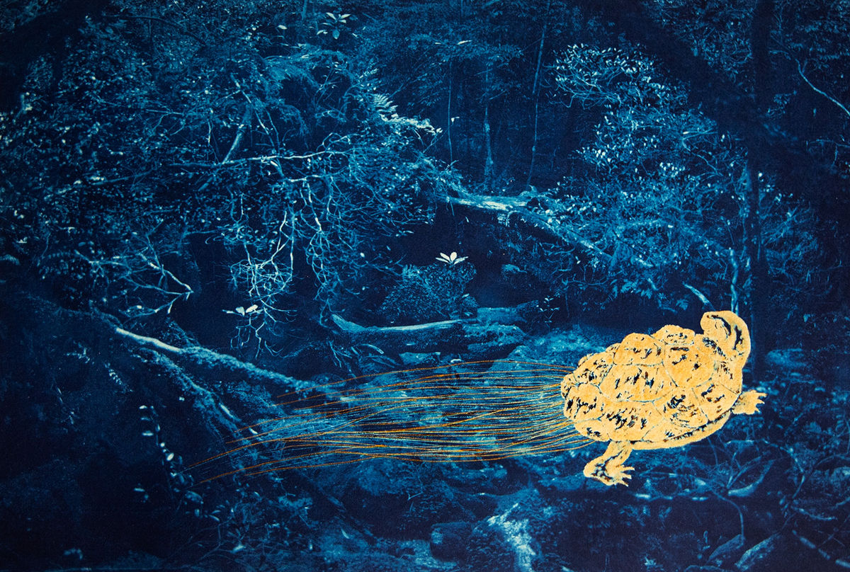 #71 the Turtle and the Monk - Anaïs López