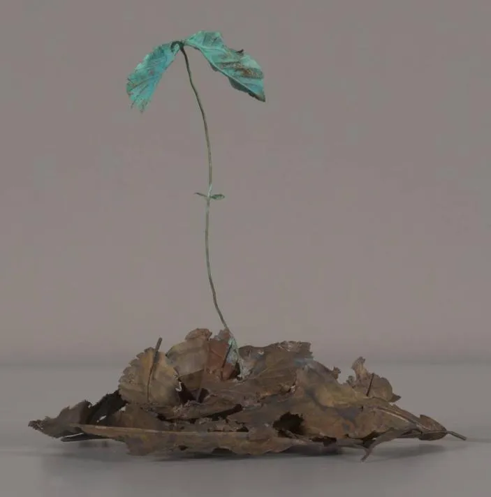 Museum of Fine Art, Houston acquires Shota Suzuki's Ametsuchi (Heaven and Earth)