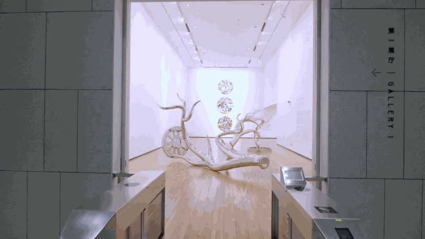 Tomokazu Matsuyama - Accountable Nature - Exhibition Video