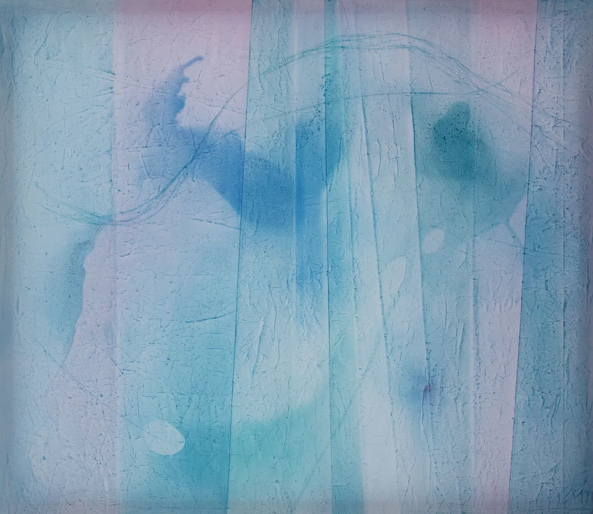 柔软的尺度 陈维、崔洁、黄安澜、娜布其、陈国良、张如怡