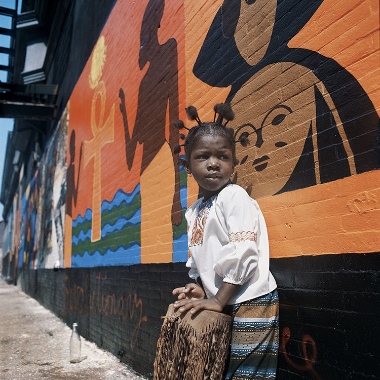 A Look at Life Through My Father's Lens