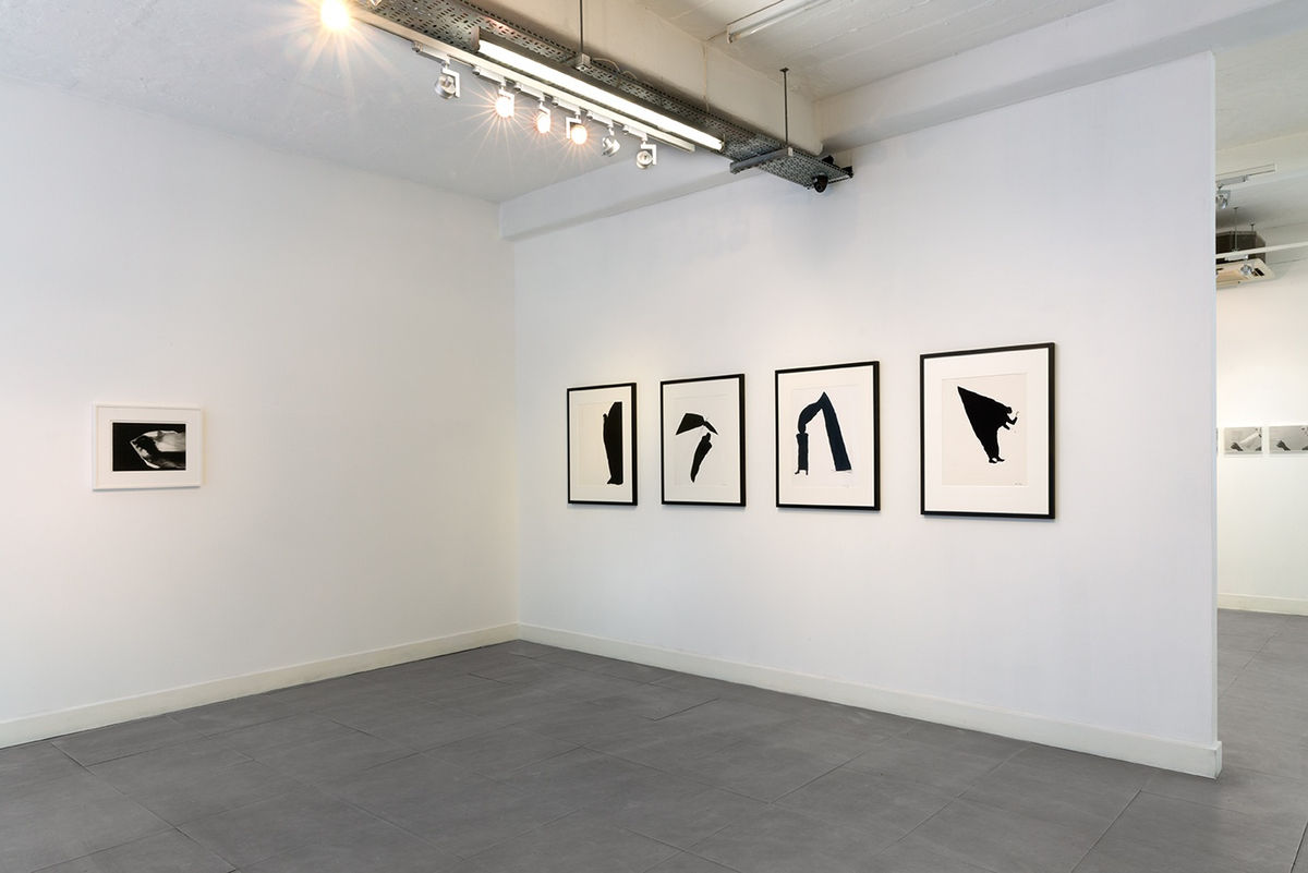 Installation view of "Helena ALMEIDA Desenhos Habitados / Inhabited Drawings" at Richard Saltoun Gallery (27 March - 22 May 2015)