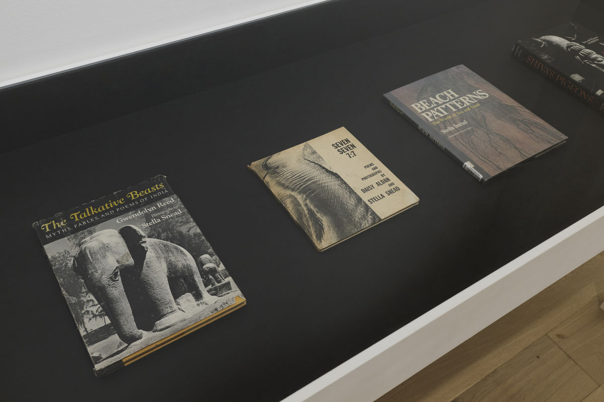 250707 Richard Saltoun Seeds Of Surrealism 19