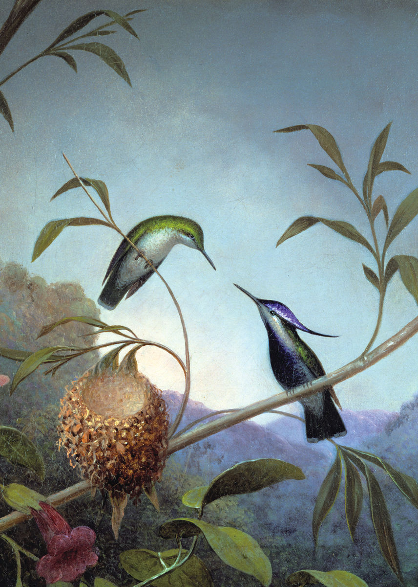 Celebrating 25 Years