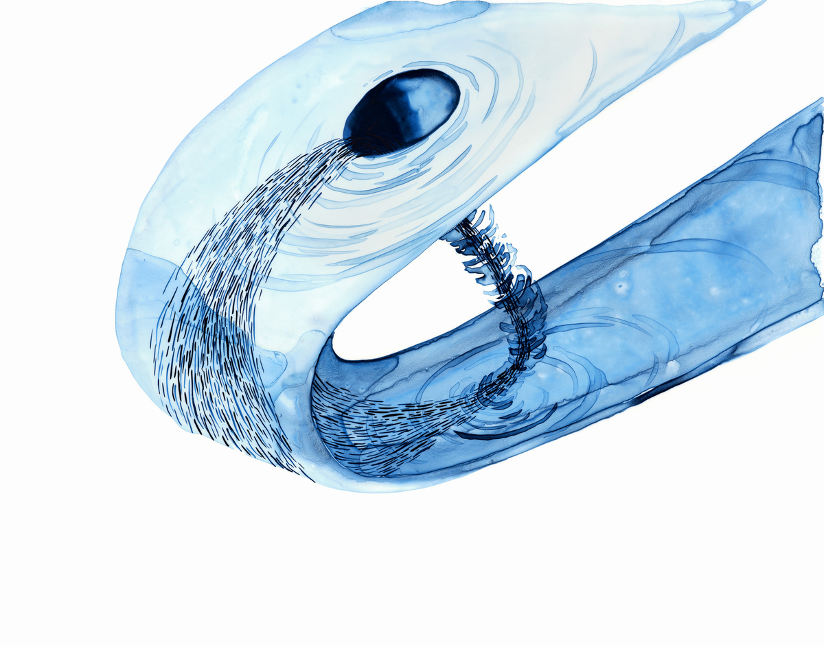 Lia Halloran WS291, 2021