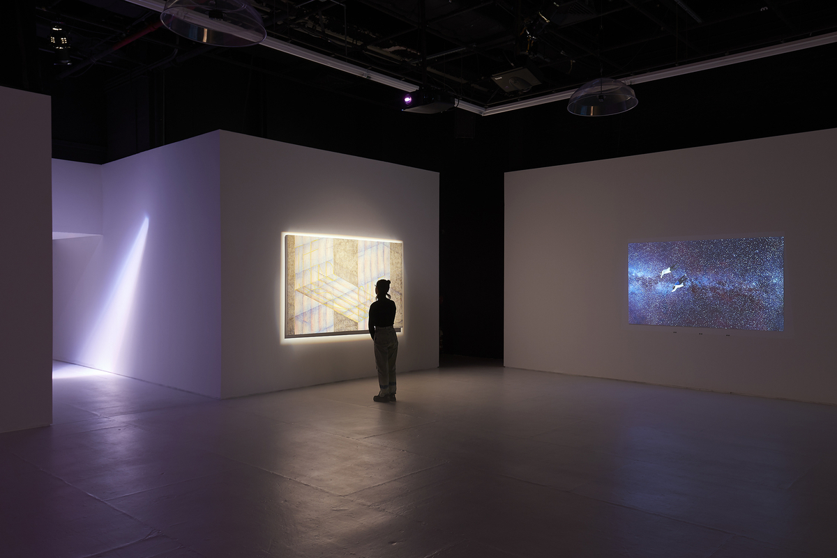 Exhibition shot of Animal Static