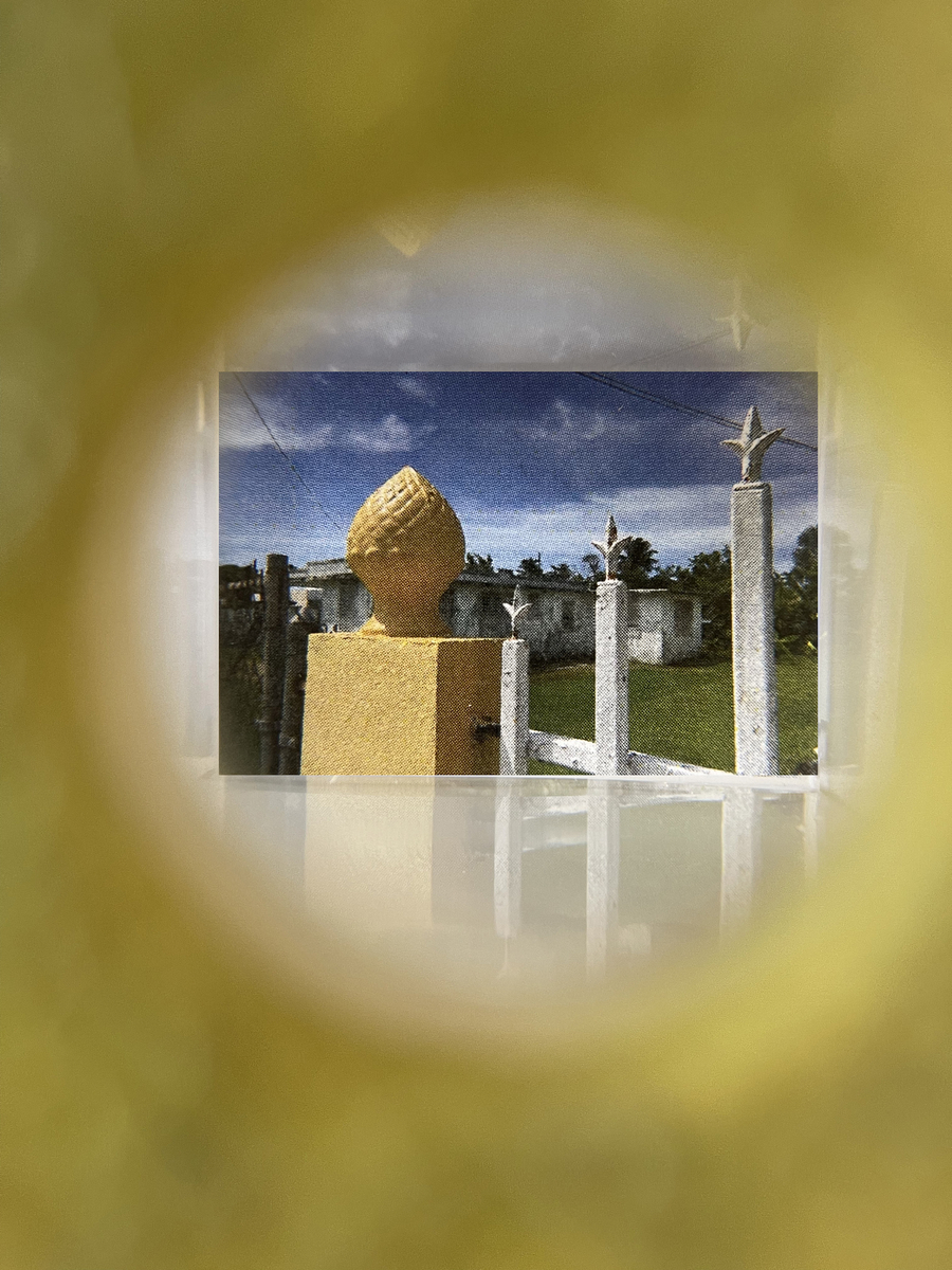 Edra Soto por la se&ntilde;al (26-9), 2026 (Viewfinder view)