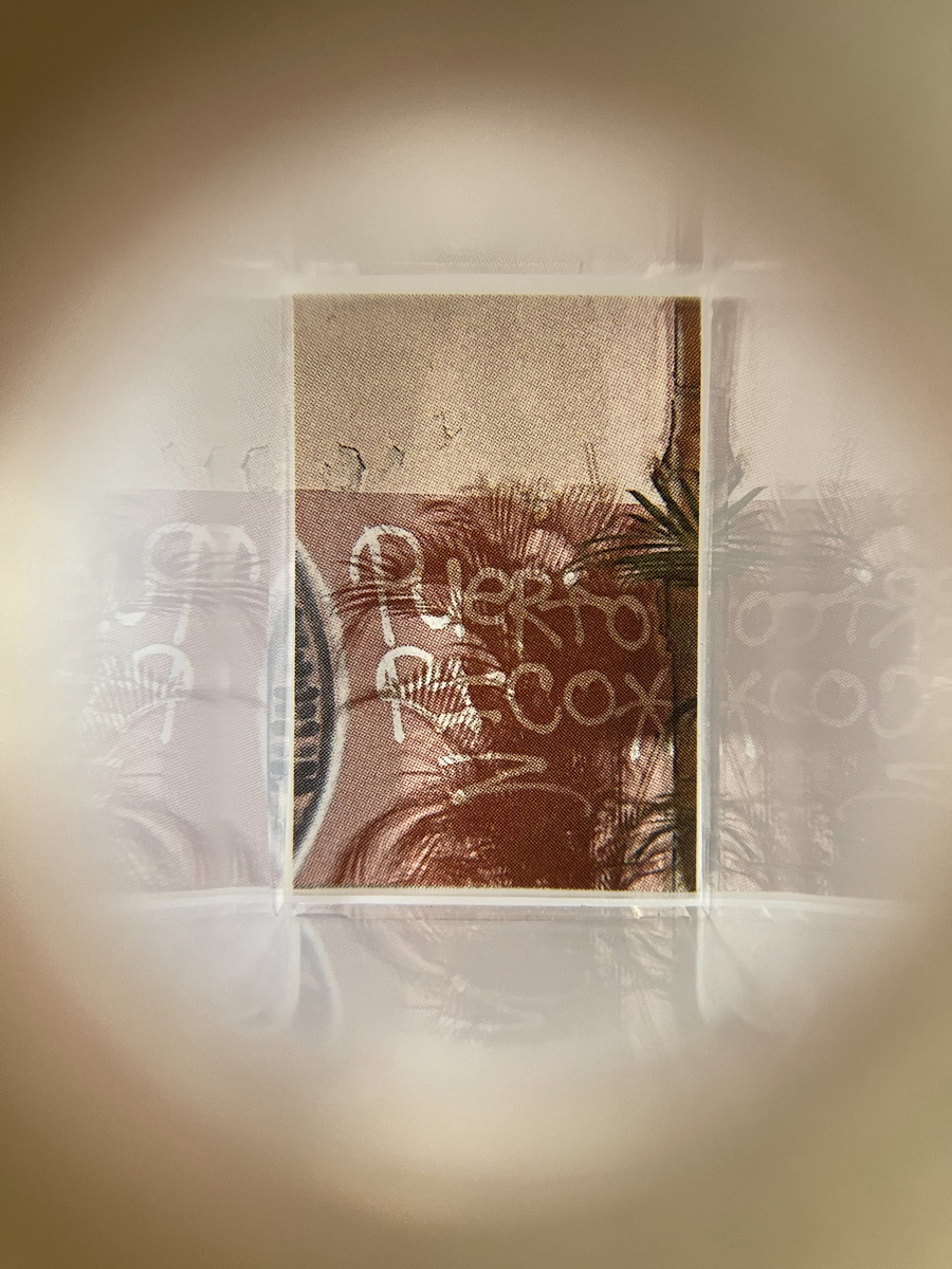 Edra Soto por la se&ntilde;al (26-5), 2026 (Viewfinder view)