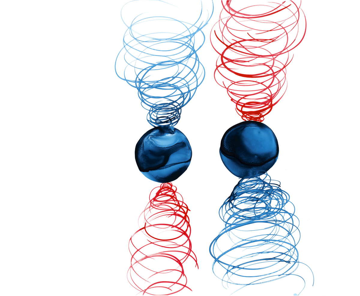 Lia Halloran WS476, 2023