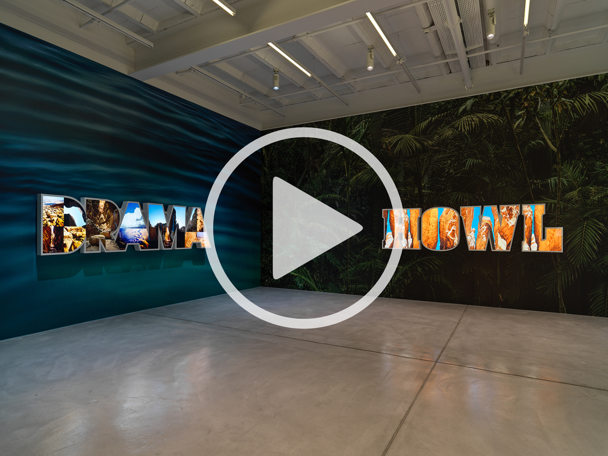 DOUG AITKEN - HOWL - Viewing Room - Galerie Eva Presenhuber