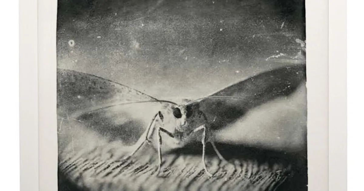 hackelburyfineart-doug-and-