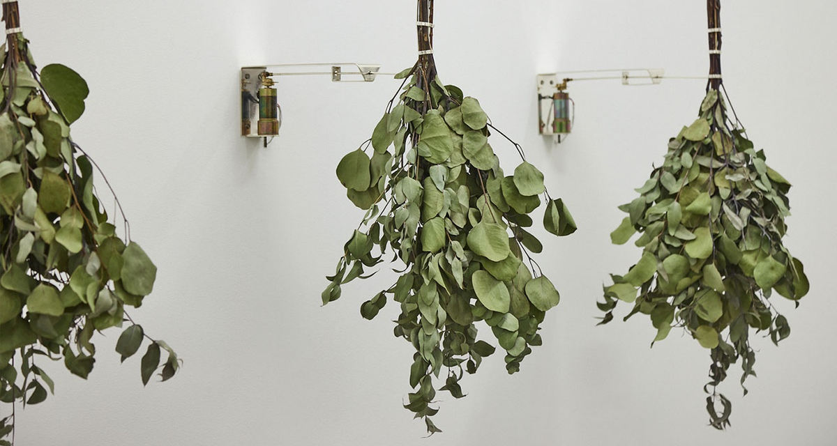 laura vinci | maquinamata