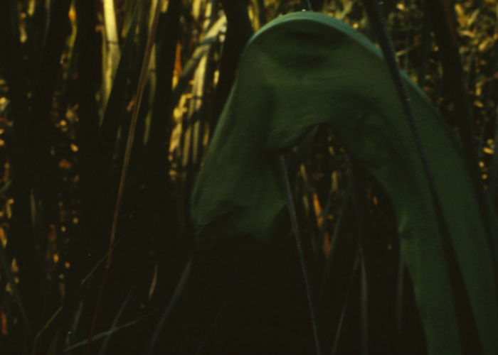 Image: Lothar Baumgarten