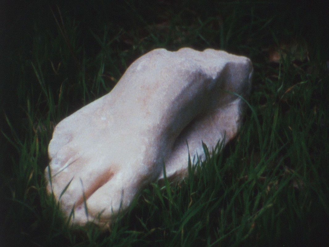 Tacita Dean Pan Amicus, 2021 16mm color film, optical sound; 31 min., continuous loop