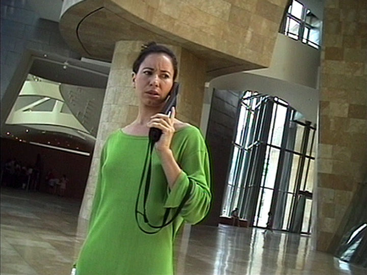 Andrea Fraser, Projection (2008)